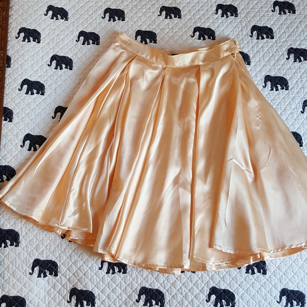 American Apparel satin skirt